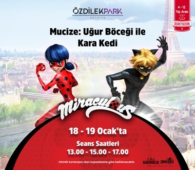 MUCİZE: UĞUR BÖCEĞİ VE KARA KEDİ ÖZDİLEKPARK ANTALYA'DA!